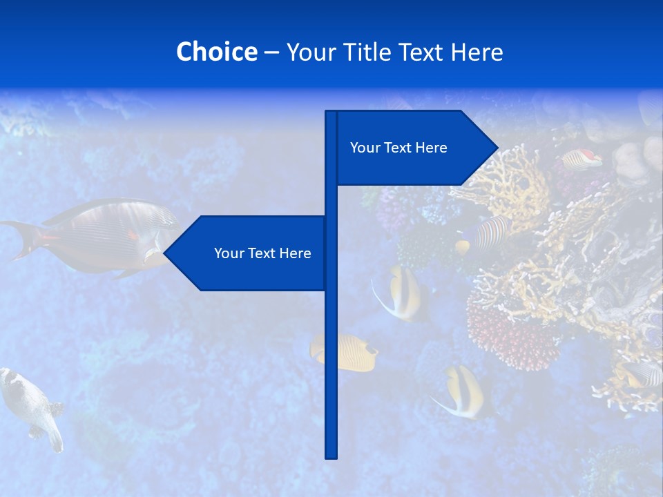 Diving Tahiti Live PowerPoint Template