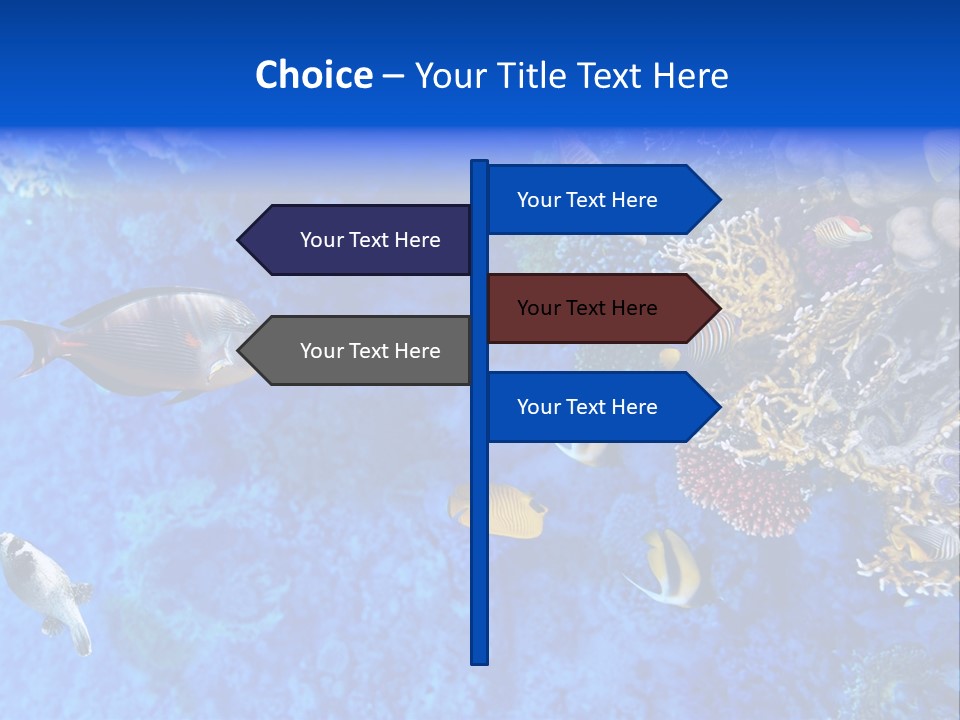 Diving Tahiti Live PowerPoint Template