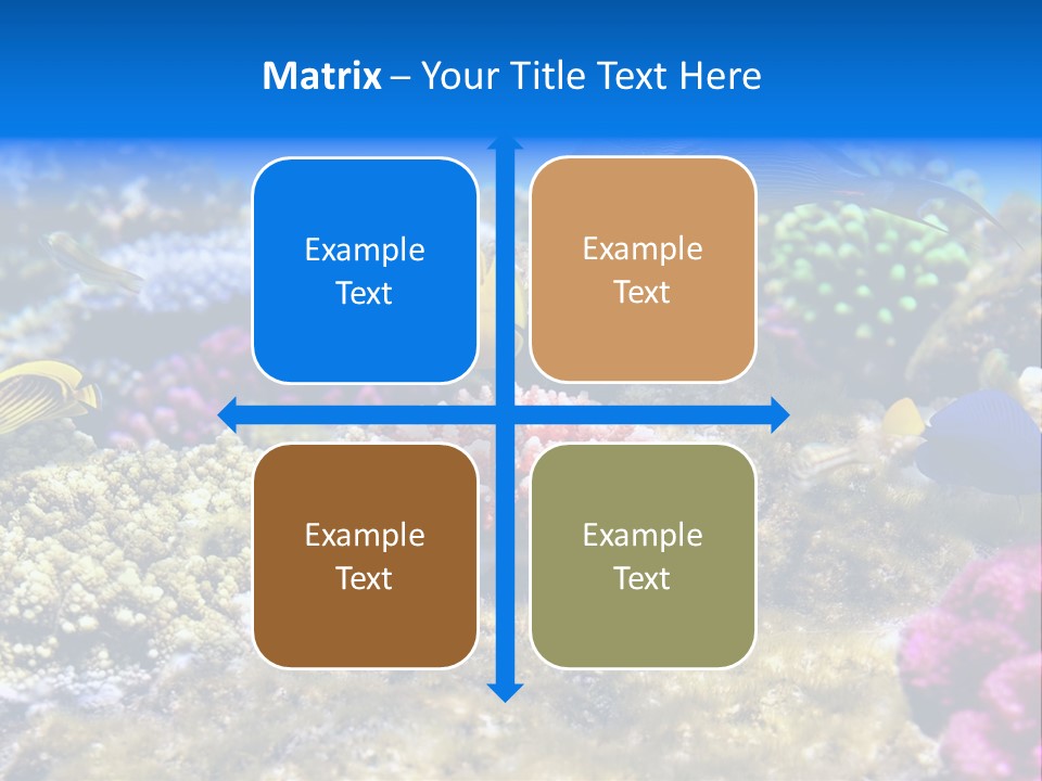 Wild Polynesia Red PowerPoint Template