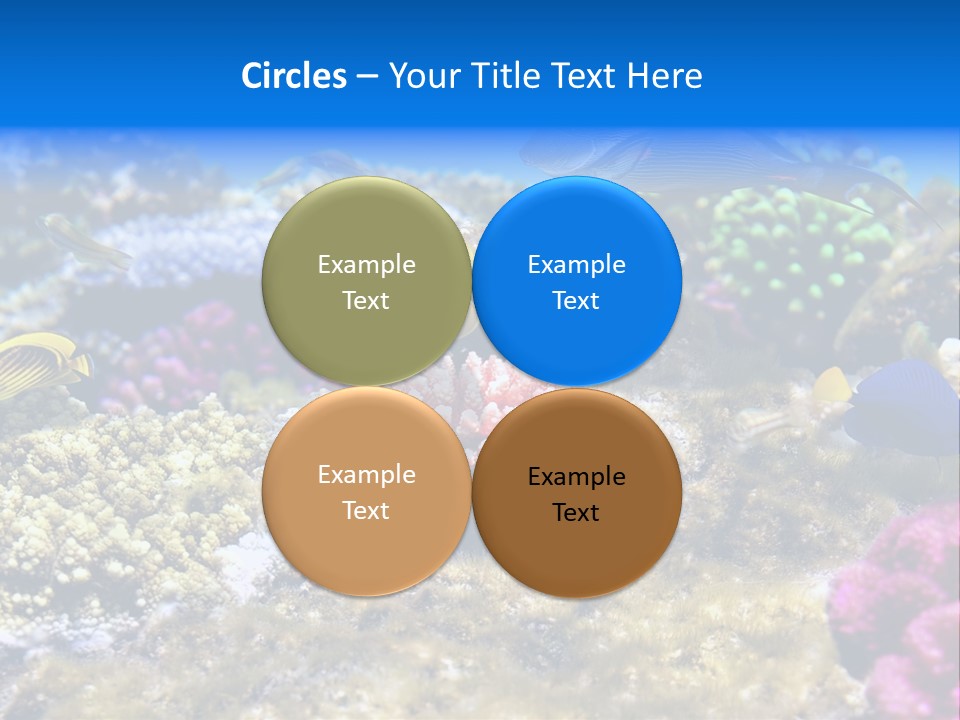 Wild Polynesia Red PowerPoint Template