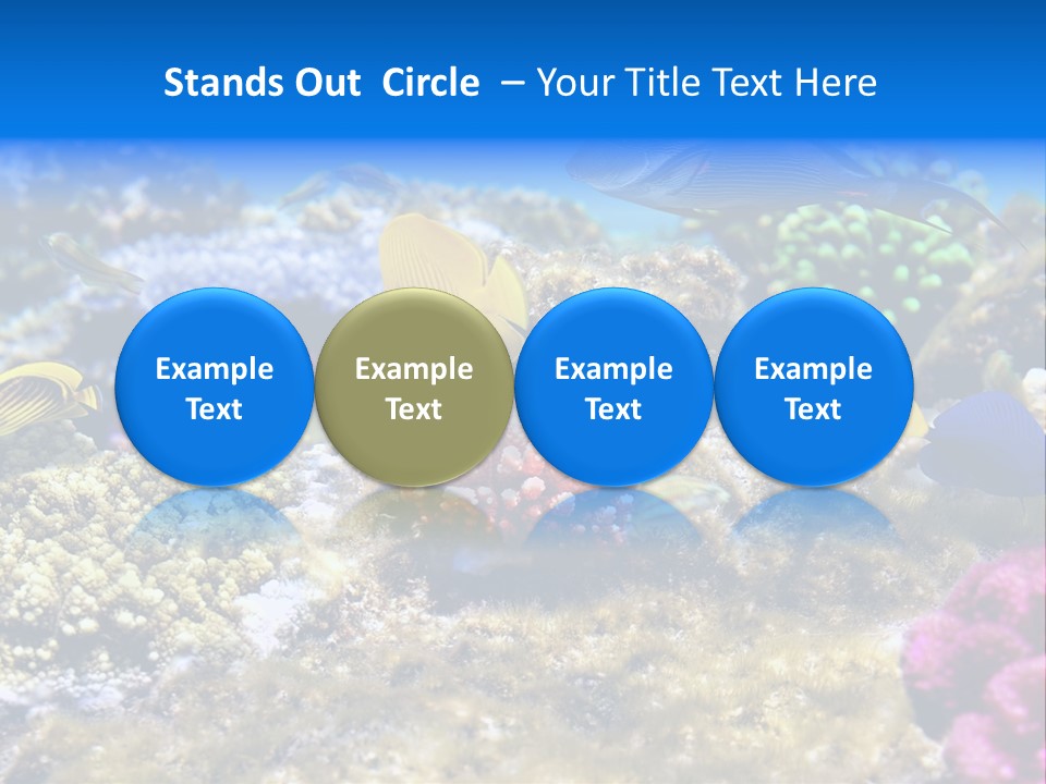 Wild Polynesia Red PowerPoint Template