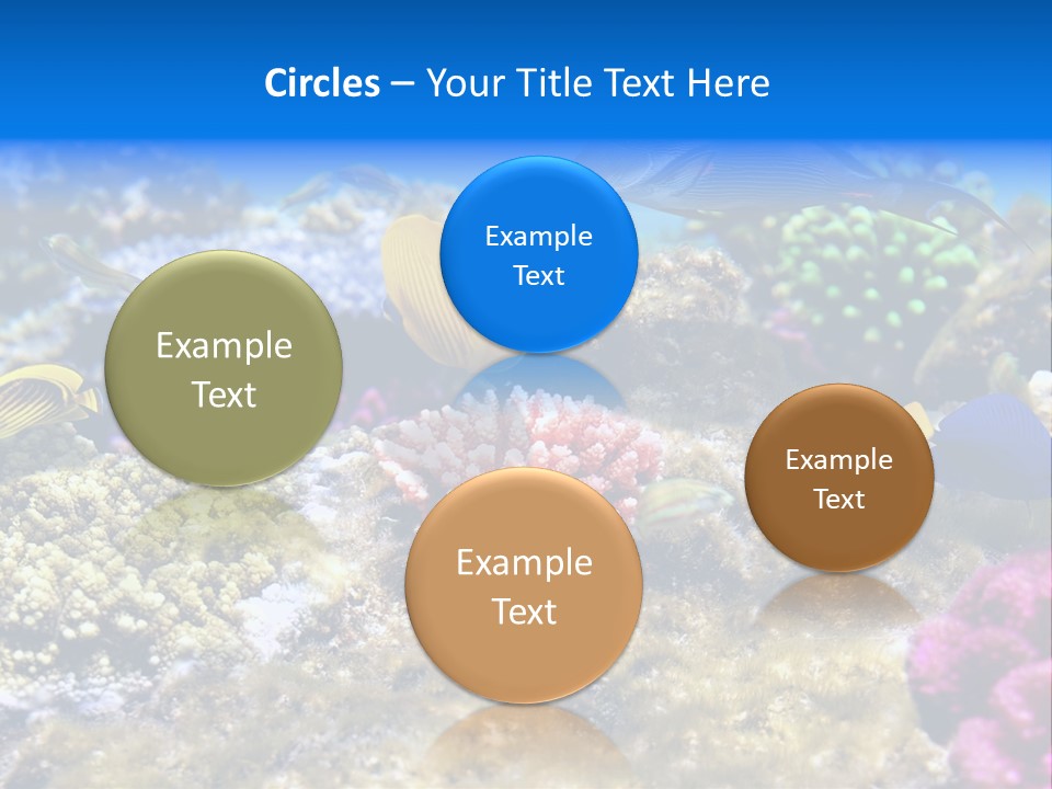 Wild Polynesia Red PowerPoint Template