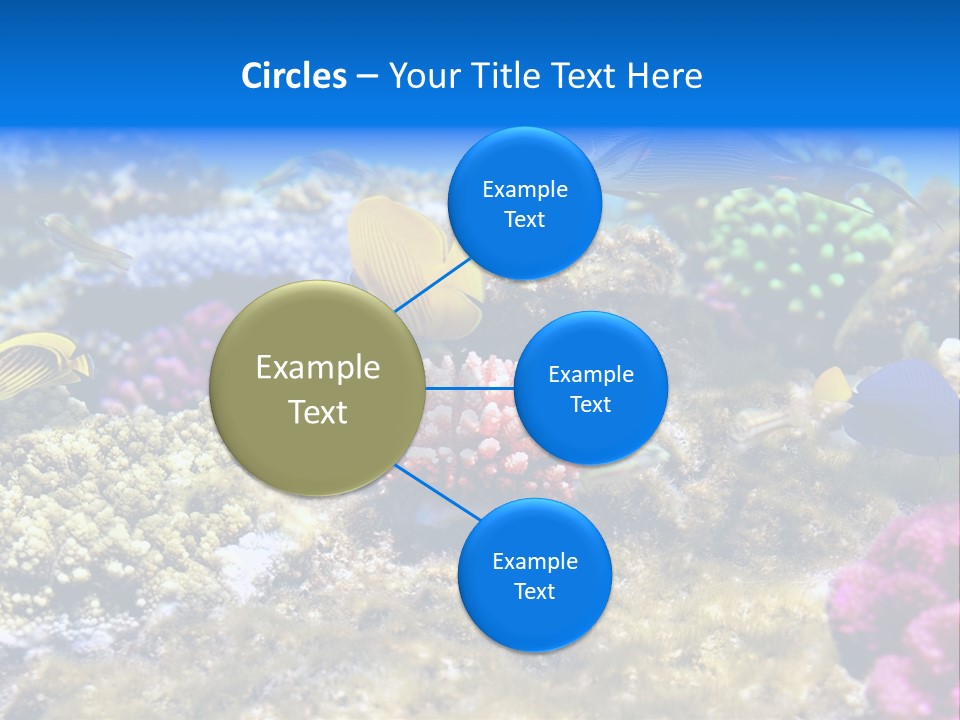 Wild Polynesia Red PowerPoint Template