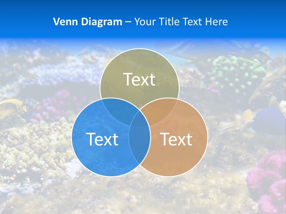 Wild Polynesia Red PowerPoint Template