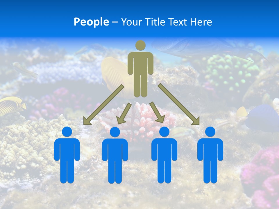 Wild Polynesia Red PowerPoint Template