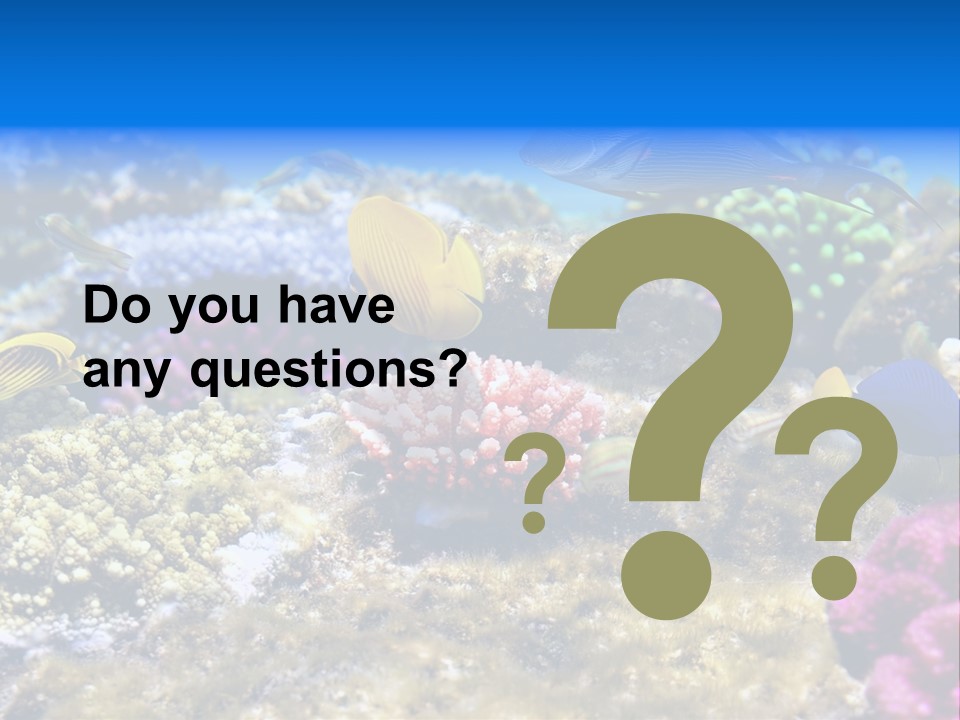 Wild Polynesia Red PowerPoint Template