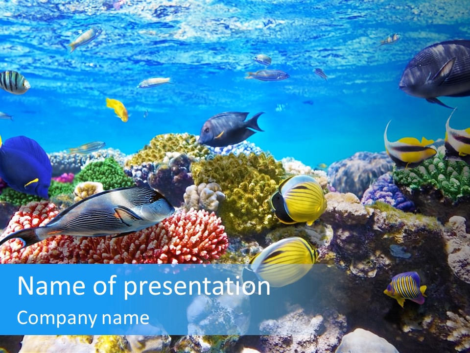 Nature Sharm Tropic PowerPoint Template