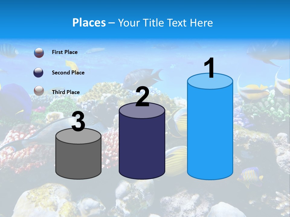 Nature Sharm Tropic PowerPoint Template