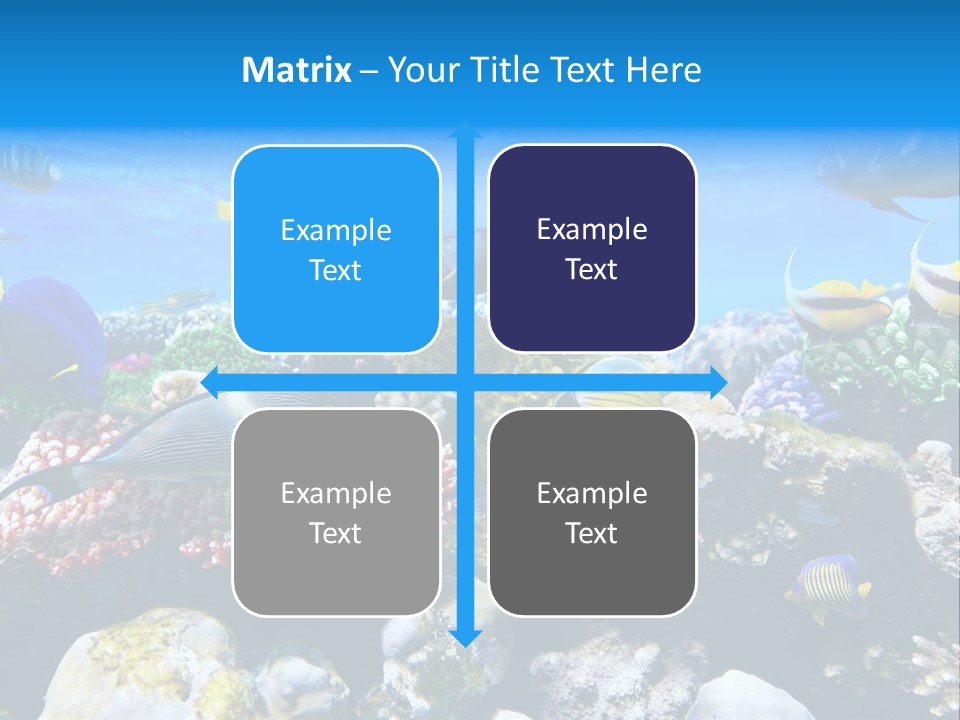 Nature Sharm Tropic PowerPoint Template