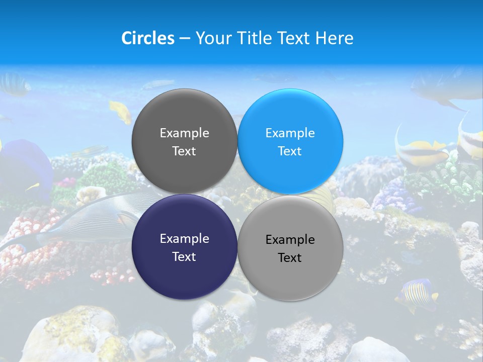 Nature Sharm Tropic PowerPoint Template