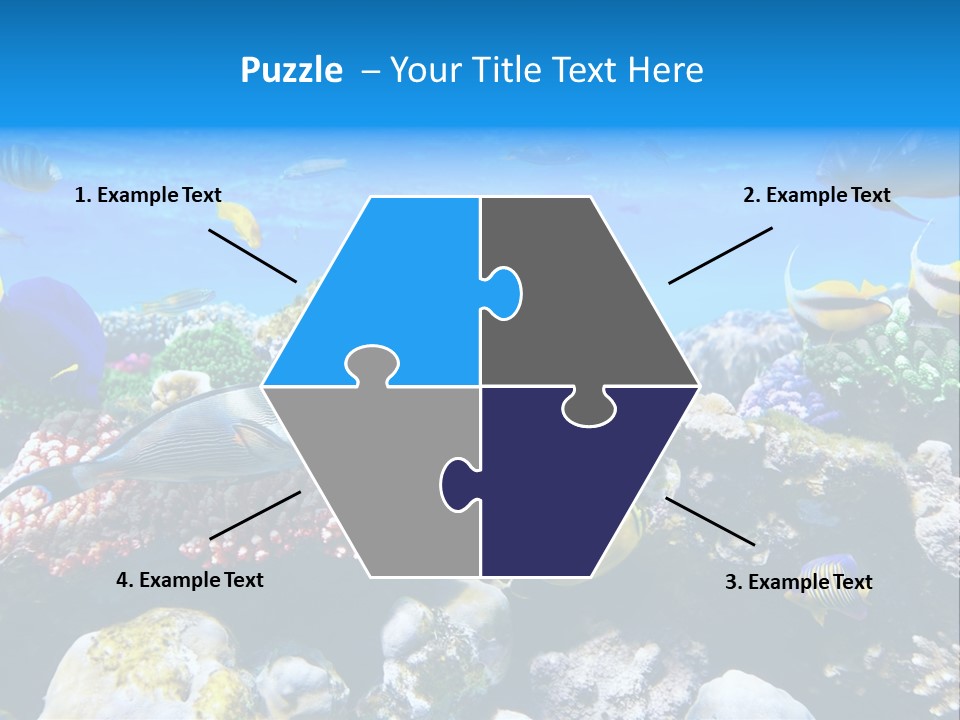 Nature Sharm Tropic PowerPoint Template