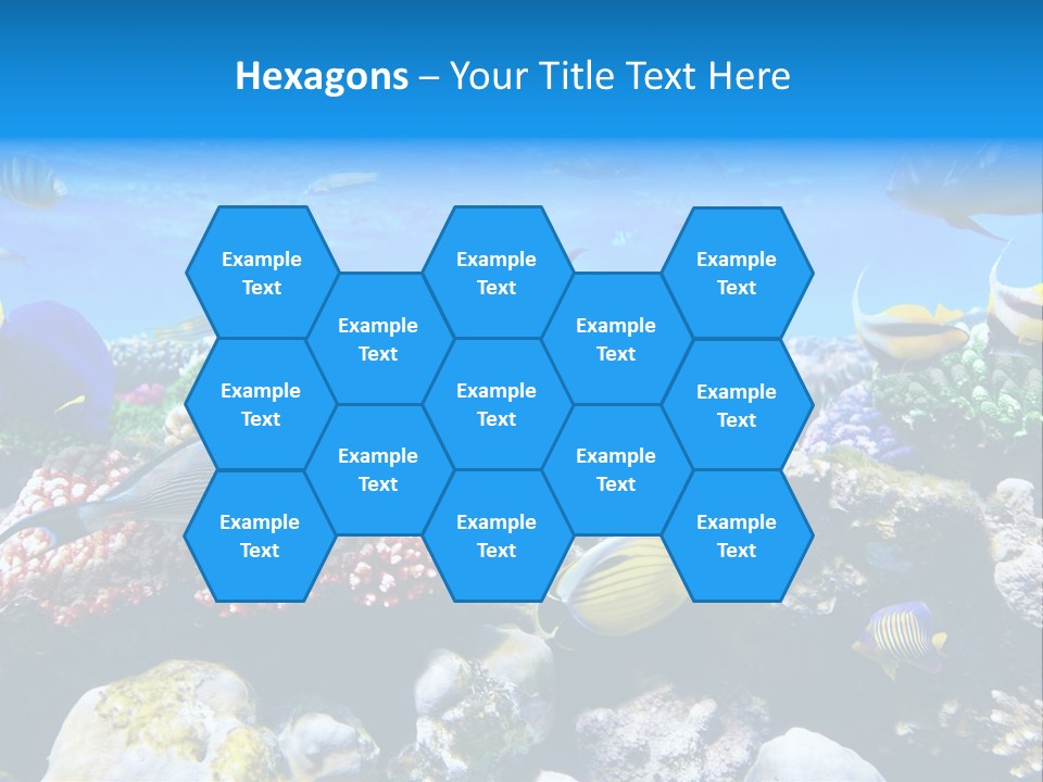 Nature Sharm Tropic PowerPoint Template