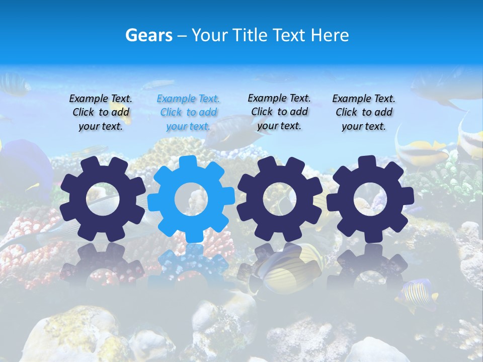 Nature Sharm Tropic PowerPoint Template