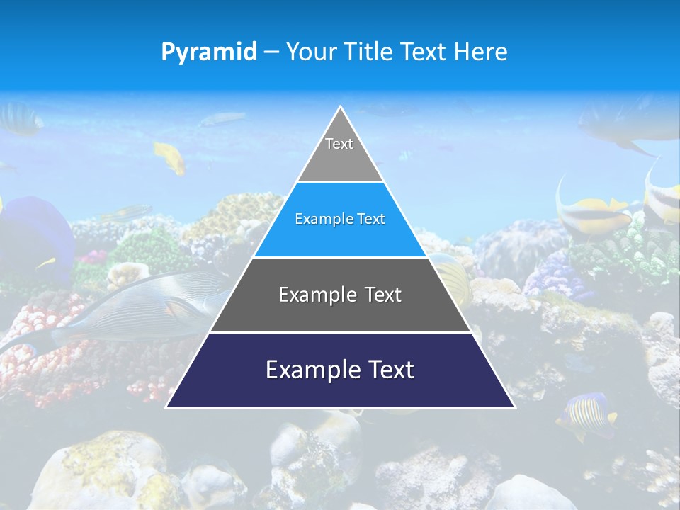 Nature Sharm Tropic PowerPoint Template