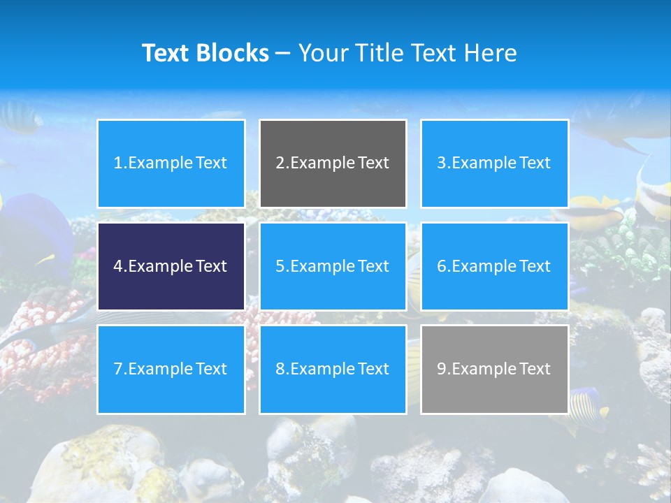 Nature Sharm Tropic PowerPoint Template