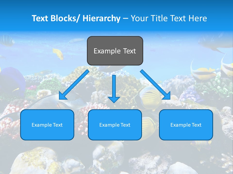 Nature Sharm Tropic PowerPoint Template