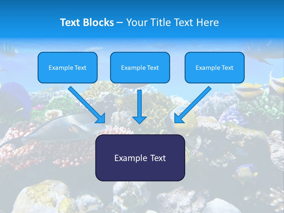 Nature Sharm Tropic PowerPoint Template