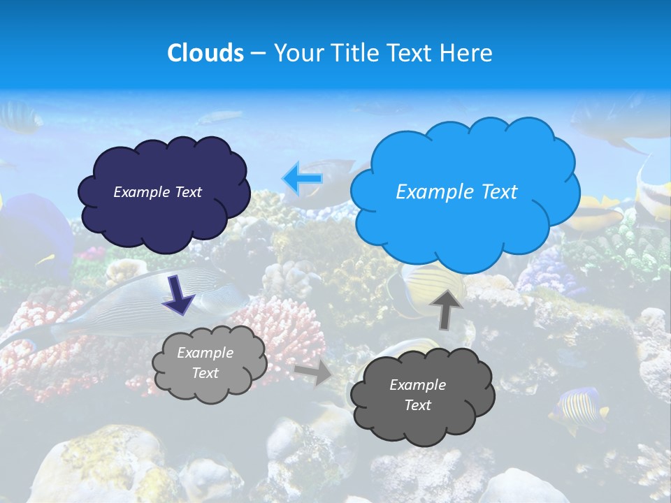 Nature Sharm Tropic PowerPoint Template
