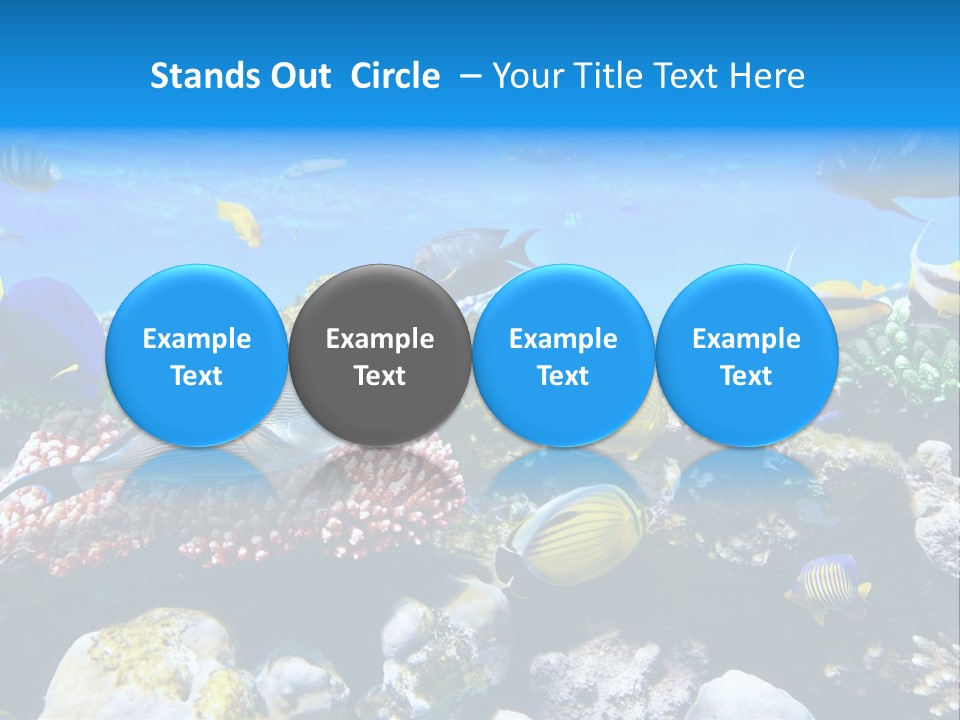 Nature Sharm Tropic PowerPoint Template