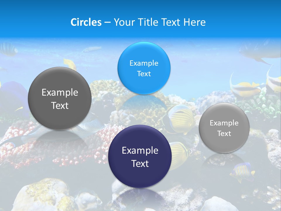 Nature Sharm Tropic PowerPoint Template