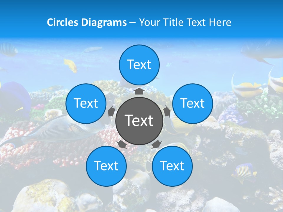 Nature Sharm Tropic PowerPoint Template