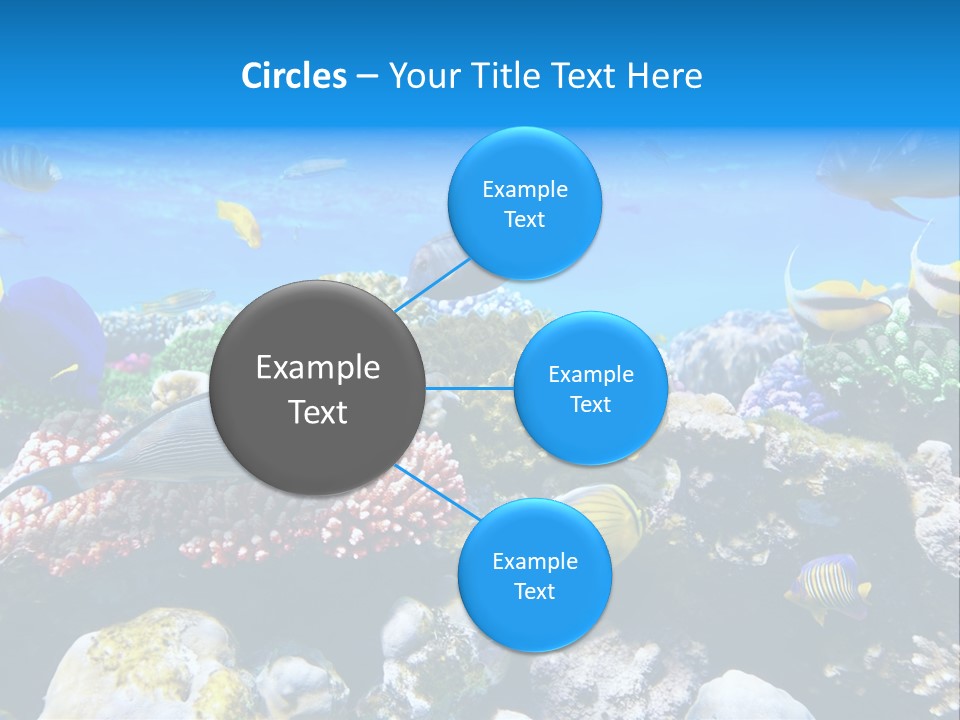 Nature Sharm Tropic PowerPoint Template