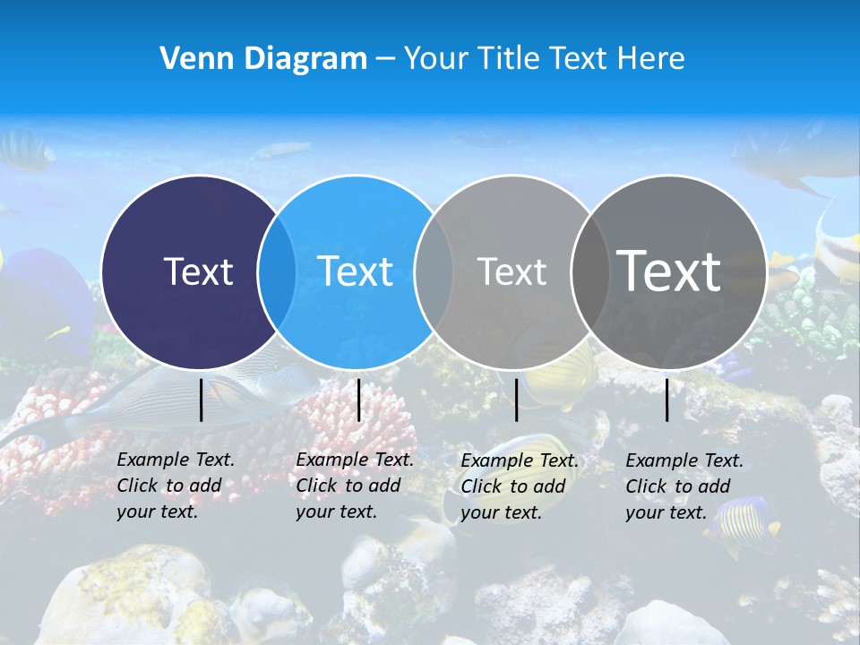 Nature Sharm Tropic PowerPoint Template