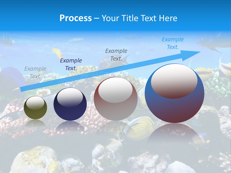 Nature Sharm Tropic PowerPoint Template