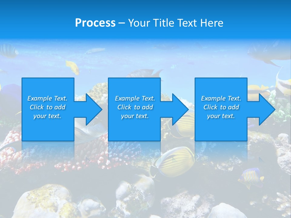 Nature Sharm Tropic PowerPoint Template