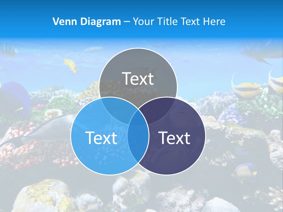 Nature Sharm Tropic PowerPoint Template