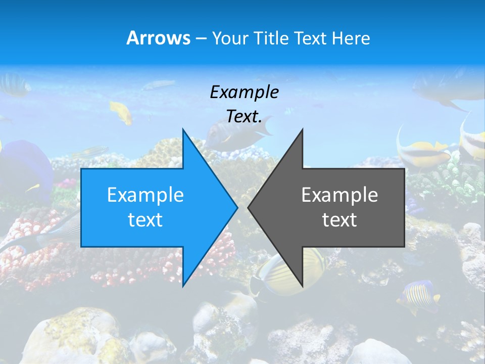 Nature Sharm Tropic PowerPoint Template