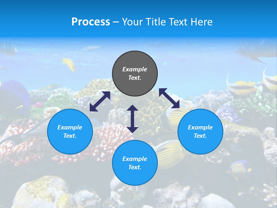 Nature Sharm Tropic PowerPoint Template