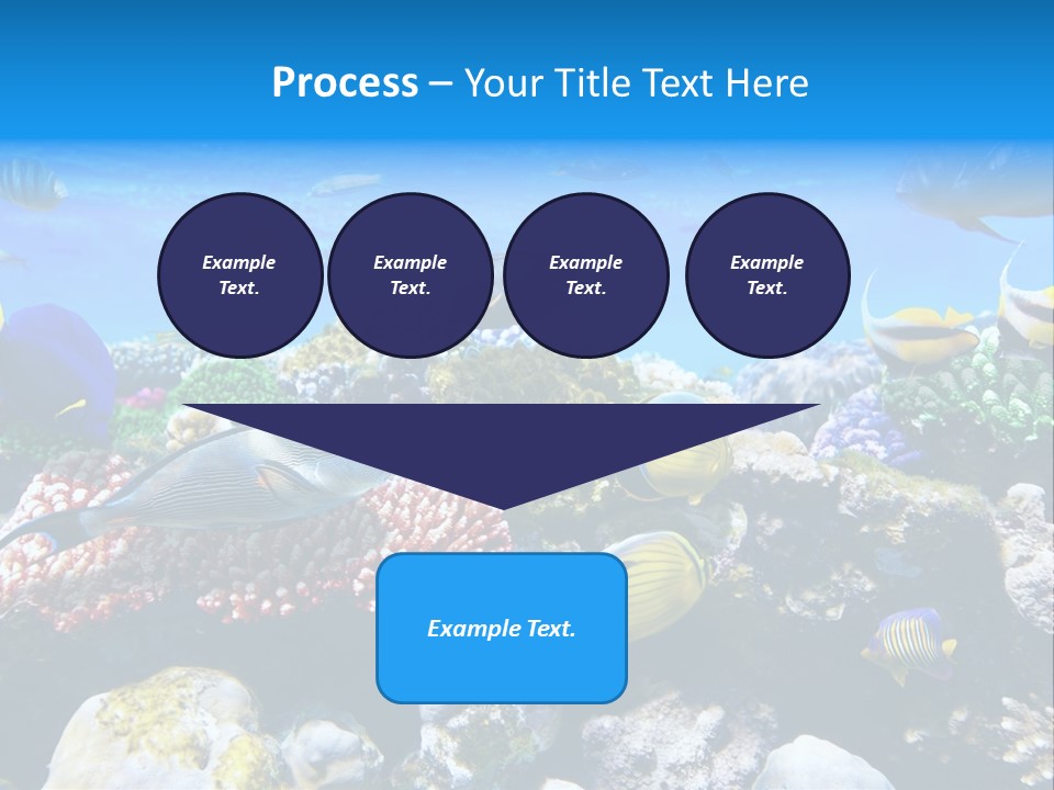 Nature Sharm Tropic PowerPoint Template