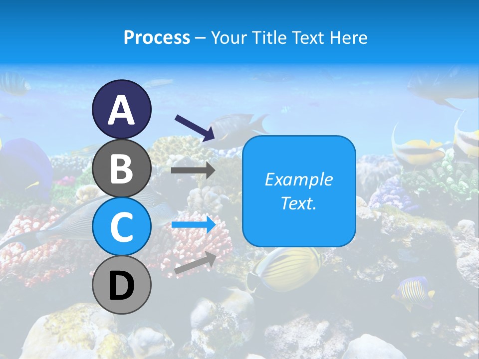 Nature Sharm Tropic PowerPoint Template