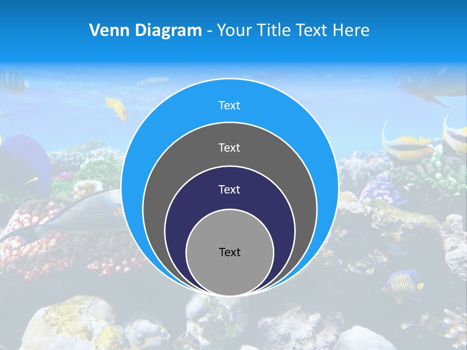Nature Sharm Tropic PowerPoint Template