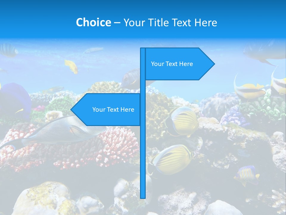 Nature Sharm Tropic PowerPoint Template