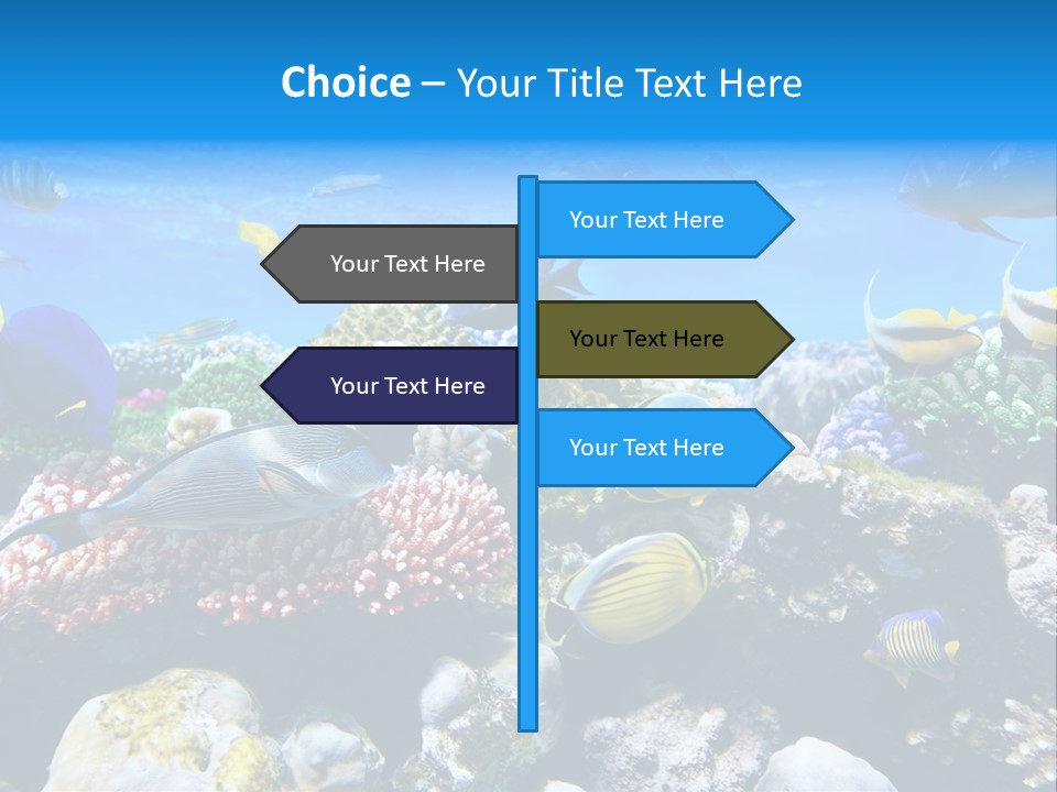 Nature Sharm Tropic PowerPoint Template