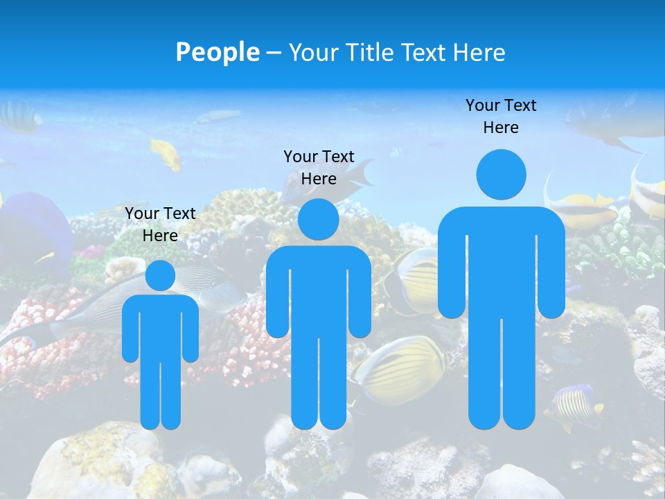 Nature Sharm Tropic PowerPoint Template