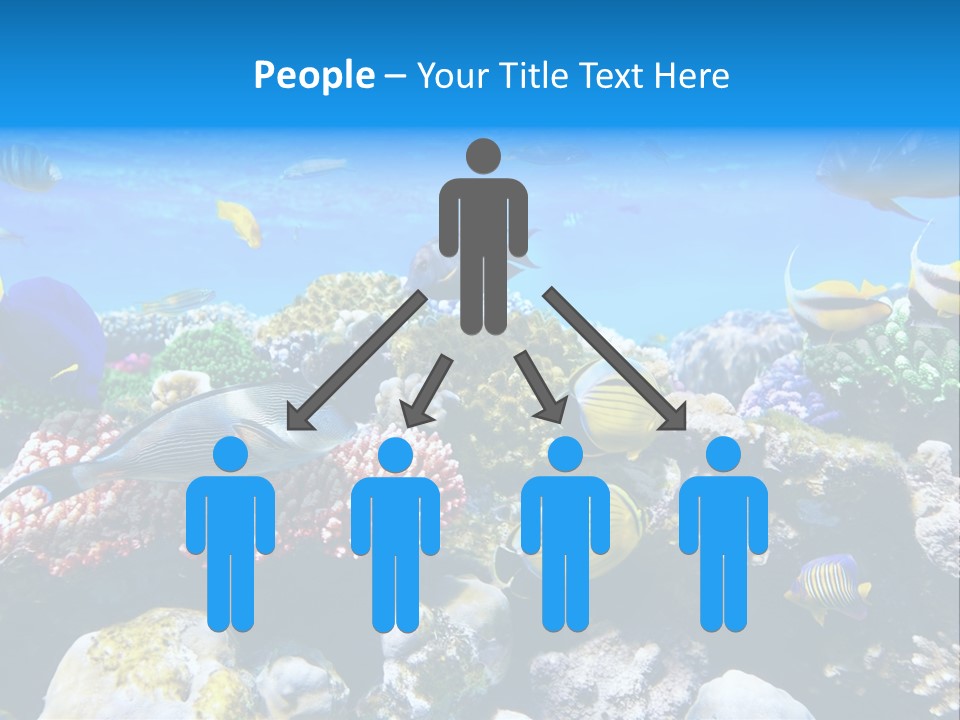 Nature Sharm Tropic PowerPoint Template