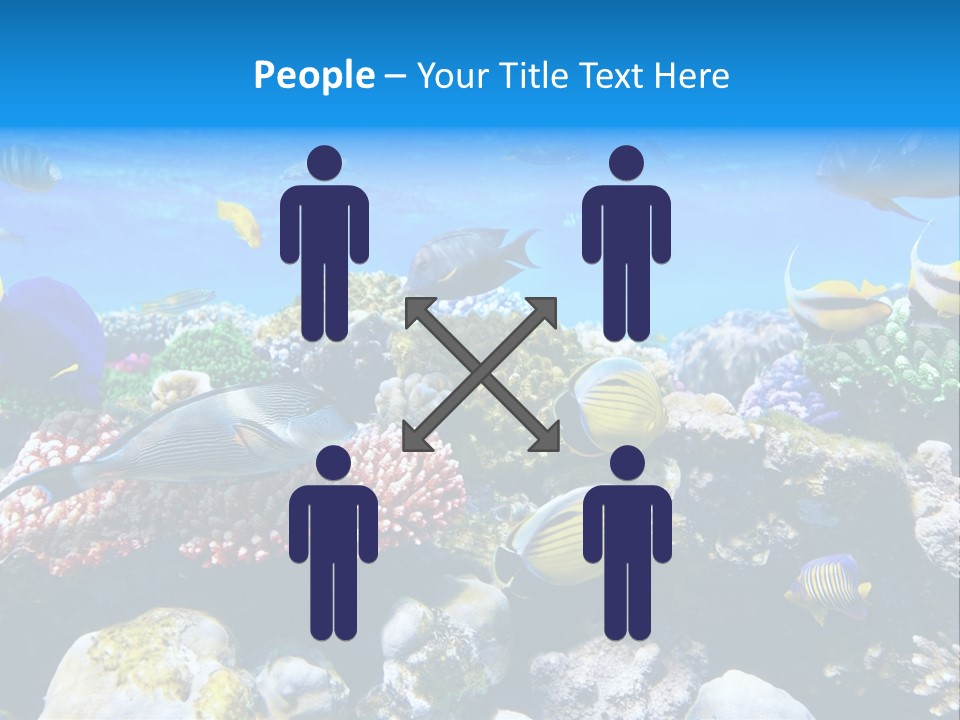 Nature Sharm Tropic PowerPoint Template