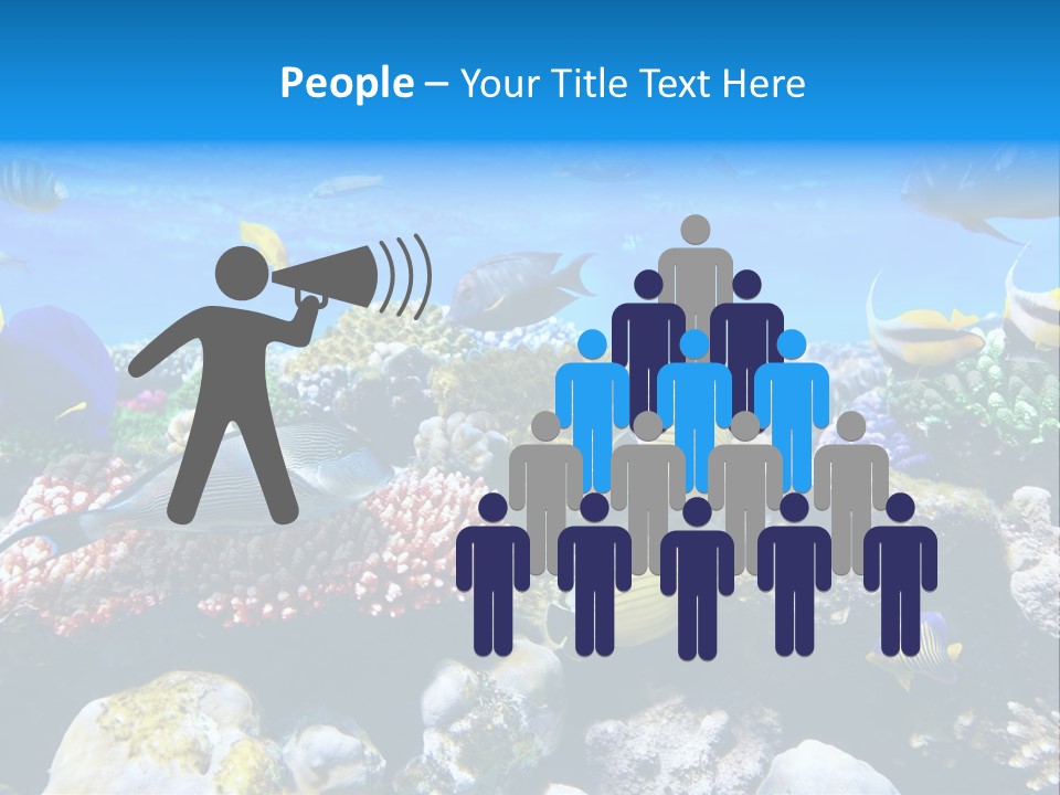 Nature Sharm Tropic PowerPoint Template