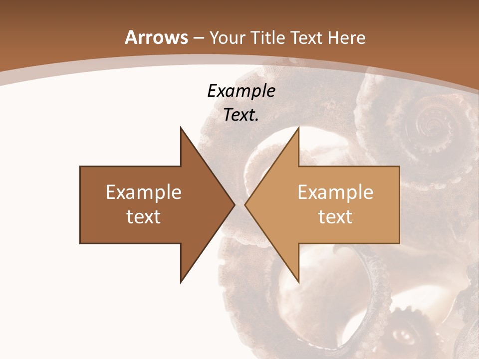 Directly Cold Devilfish PowerPoint Template