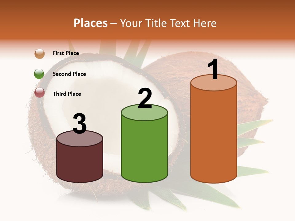 Section Shell Creativity PowerPoint Template