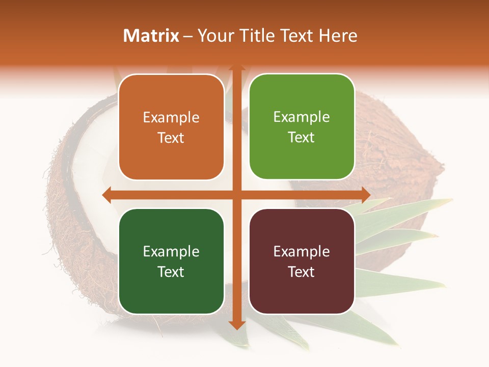 Section Shell Creativity PowerPoint Template