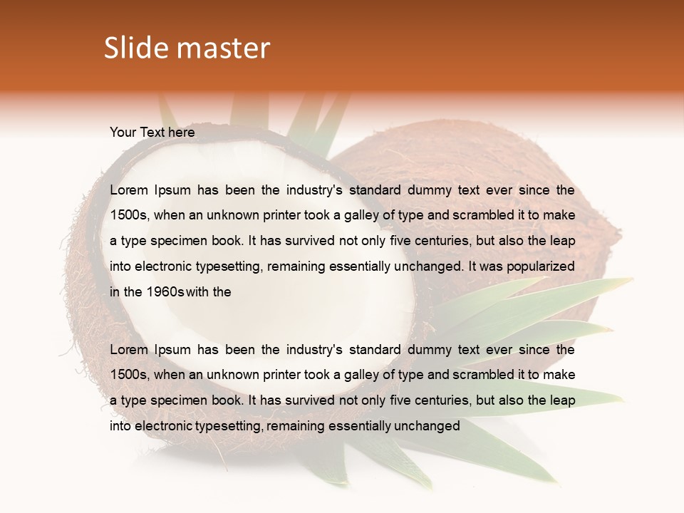 Section Shell Creativity PowerPoint Template