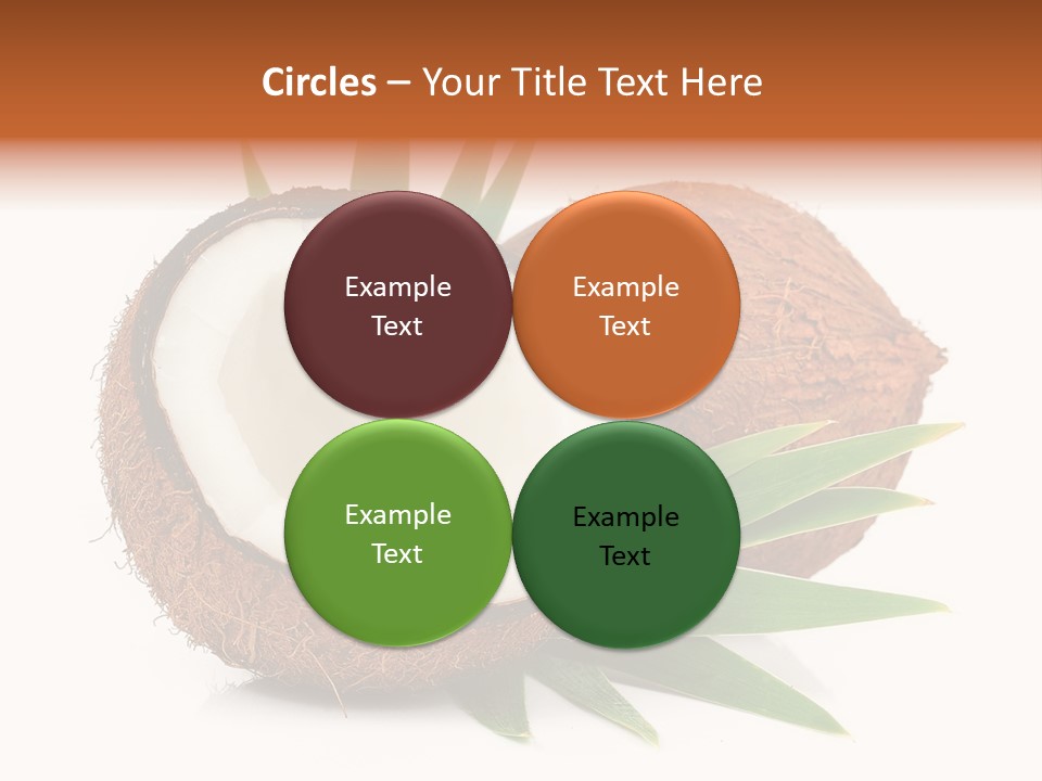 Section Shell Creativity PowerPoint Template