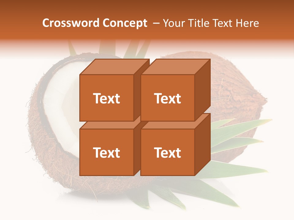 Section Shell Creativity PowerPoint Template