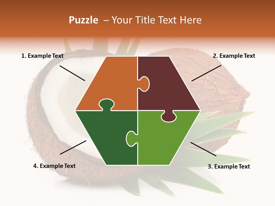 Section Shell Creativity PowerPoint Template