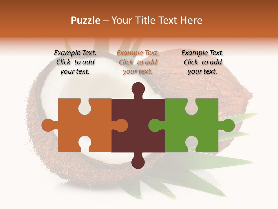 Section Shell Creativity PowerPoint Template