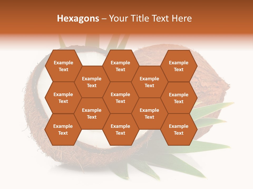 Section Shell Creativity PowerPoint Template